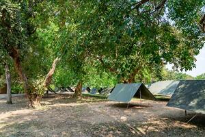 The simple and normal empty Canvas Tents in the row and column on the grass field at outdoor field in afternoon time.1 photo