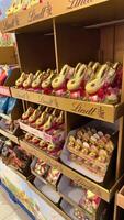 27.03.2025 Germany - Display of Lindt Chocolate Rabbits in a Store for Easter Celebration. election of golden wrapped Lindt chocolate rabbits on display shelves in a store photo
