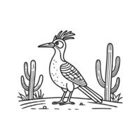 Roadrunner standing alert on a dusty path with cactus in the background vector