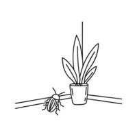 Roach hiding in the corner of a room behind a potted plant vector