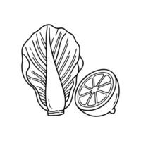 Radicchio sitting next to a halved lemon on a prep table vector