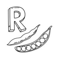 An Illustration of letter R stand for Runner bean vector