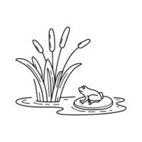 Reed swaying at the edge of a small pond beside a frog on lily pad vector