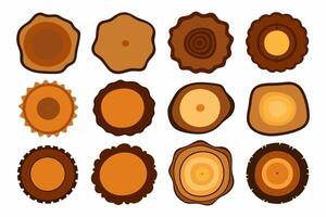 Collection of Colorful and Artistic Tree Slice Illustrations on White vector
