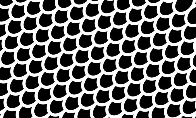 Fish, mermaid, dragon scales pattern. Black and white minimal background.