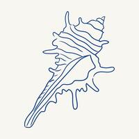 Detailed drawing of a seashell showcasing intricate patterns and textures vector