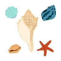 Collection of colorful seashells and a starfish on a white background vector