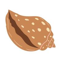 Spiral seashell with a smooth surface located on a sandy beach during a sunny day vector