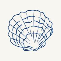 Detailed line art of a shell depicting intricate patterns and natural beauty vector
