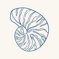 Detailed illustration of a nautilus shell highlighting unique patterns and curves vector
