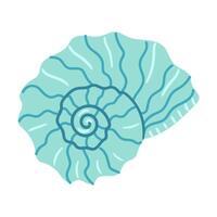 Colorful spiral shell displayed against a white background in a playful artistic style vector