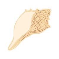 Beautiful conch shell resting on a clean white background vector