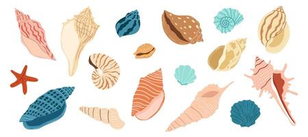 Diverse collection of seashells and a starfish on a white background vector