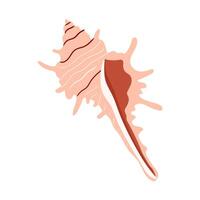Unique seashell showcasing intricate patterns and texture on a white background vector