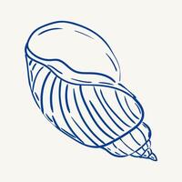Unique blue shell illustration with detailed textures and patterns vector