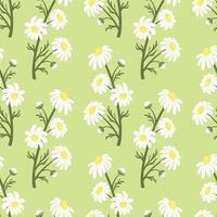 Blooming Chamomile Seamless Pattern with Flower Branches on Light Green Background. Cute Spring Daisy Floral Design for Fabric, Wrapping Paper, Textile or Packaging vector
