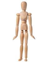 full body wooden drawing mannequin standing pose front view, articulated artist figure model for sketch and anatomy reference on isolated background png