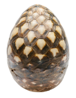 realistic turtle egg with brown and cream hard shell pattern, detailed exotic reptile texture on isolated background png