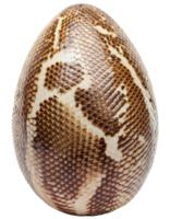 realistic snake egg with brown and white reptile scales, highly detailed exotic texture pattern on isolated background png