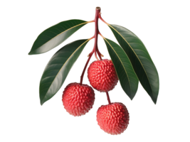 A bunch of red fruits on a branch png