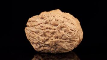 A walnut on a black background video