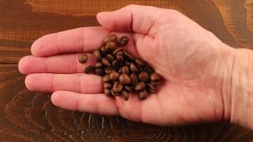 A hand holding a handful of coffee beans video