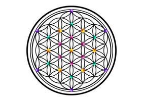 Flower of Life, Yantra Mandala in the colorful seed of life, Sacred Geometry, symbol of harmony and balance. Mystical circle talisman, isolated on white background vector