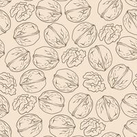 Seamless pattern with walnut, outline hand-drawn illustration vector
