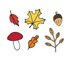 Set bundle of hand drawn doodle sketch autumn leaves acorn and mushroom isolated on white background vector