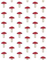 Seamless pattern of hand drawn doodle sketch fly agaric mushroom isolated on white background vector