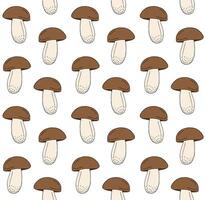 Seamless pattern of hand drawn doodle sketch King bolote cep mushroom isolated vector