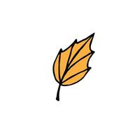 Hand drawn doodle sketch autumn leaf isolated on white background vector
