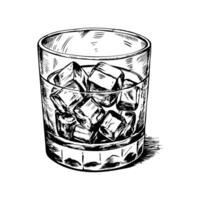 A glass of ice water with ice cubes in it vector