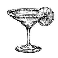 A glass of margarita with a slice of lime on top vector