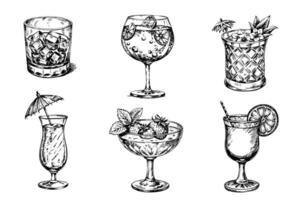 A set of six different types of drinks in glasses vector