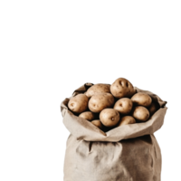 Handpicked potatoes in a crumpled paper bag png