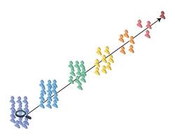 stages of Human Resources Selection process from applicant until offer vector
