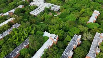 EcoFriendly Buildings Surrounded by Lush Forest, Sustainable Architecture, Green Design, and Jungle Integration video