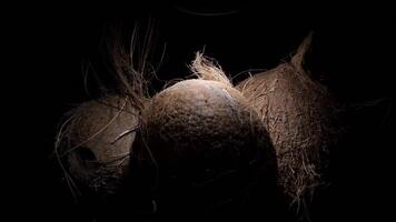 Coconuts, tropical fruit, gyrating in black background with intimate light video