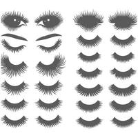 Collection of stylish eyelashes in different designs. vector