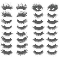 Collection of stylish eyelashes in different designs vector