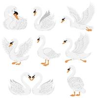 Eight white swans in different poses, perfect for wildlife, nature, or birdthemed designs, adding elegance and grace to projects. vector