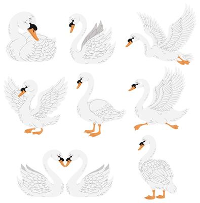 Eight white swans in different poses, perfect for wildlife, nature, or birdthemed designs, adding elegance and grace to projects.
