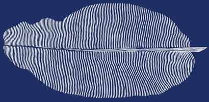 Hand drawn brush lines minimal banana leaf, Japanese, oriental wood carving texture nature background in white and blue, simple and calm graphic for carpet, textile vector