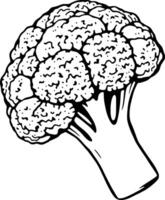 Hand-Drawn Illustration Of A Single Broccoli Floret vector