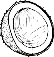 Hand-Drawn Illustration Of A Halved Coconut Showing Its Textured Shell And Creamy Interior vector