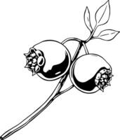 Illustration Of Two Berries On A Branch With Leaves vector