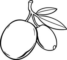 Line Art Drawing Of Plums On A Branch With Leaves vector