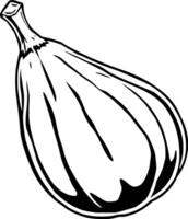 A Detailed Line Drawing Of A Single Ripe Fig Fruit vector