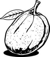 Detailed Line Art Drawing Of A Single Guava Fruit With Leaf vector